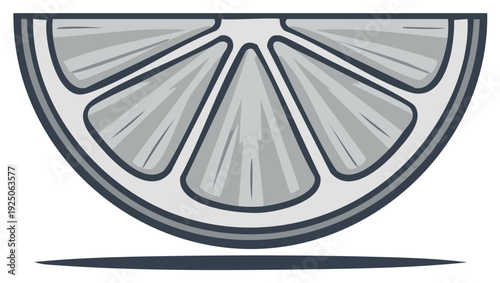Stylized Monochromatic Citrus Fruit Slice Section Graphic Illustration