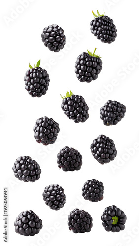 Falling blackberries isolated on transparent background
