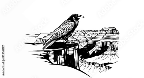 Black and white illustration of a raven perched on a rocky cliff overlooking a canyon