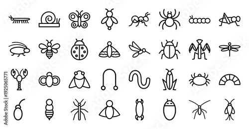 Entomology and pest control monoline icons for educational biology materials. Professional black outline pictograms featuring diverse insects, arachnids, and garden invertebrates.