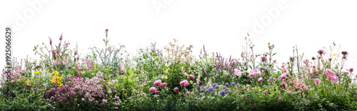 garden with various flowers and plants, against a transparent  background