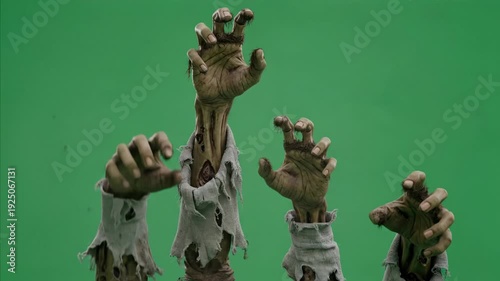 Four zombie hands rising from grave on green screen, horror concept