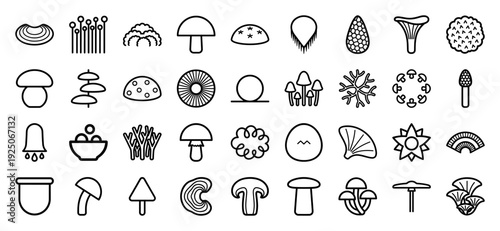 Fungi diversity and mycological identification symbols for scientific field guides. Minimalist monoline icons featuring edible mushrooms, toxic toadstools, and forest spores.