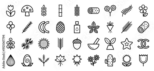 Botanical and forestry line art icons for sustainable branding. Professional monoline pictograms featuring diverse foliage, organic growth, and timber elements.