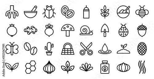 Natural ingredients and herbal medicine monoline elements for organic branding. Minimalist botanical pictograms featuring roots, seeds, insects, and gardening tools.