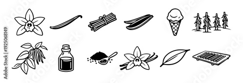 Vanilla plant and bean icons set in minimalist black and white botanical and culinary line art