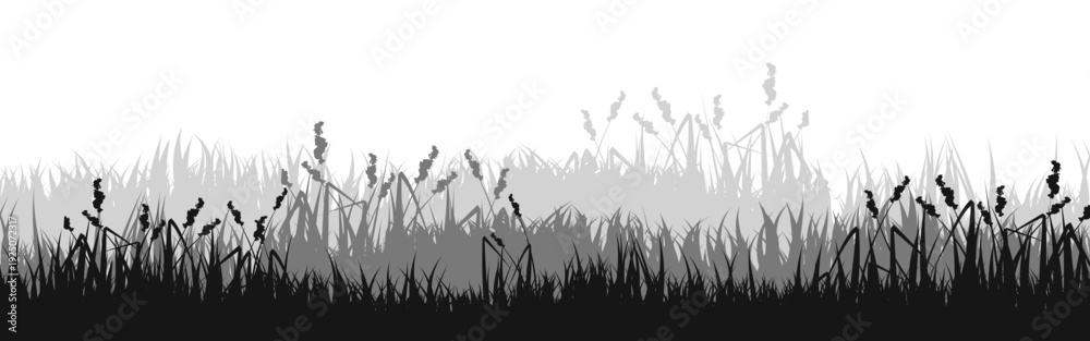 Naklejka premium Meadow silhouette with grass, plants on plain. Panoramic summer lawn landscape with herbs, various weeds. Herbal border, frame element. Black horizontal banners. Vector illustration