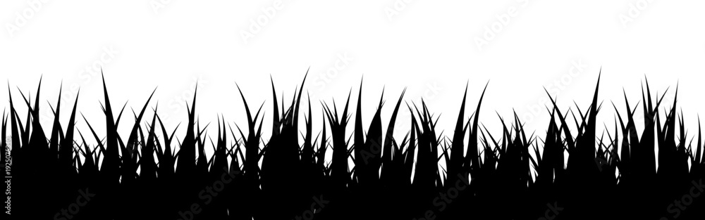 Naklejka premium Meadow silhouette with grass, plants on plain. Panoramic summer lawn landscape with herbs, various weeds. Herbal border, frame element. Black horizontal banners. Vector illustration