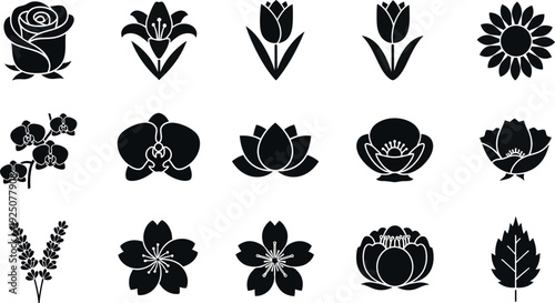 Black silhouettes of various flowers and leaves on white background including rose lily tulip sunflower orchid