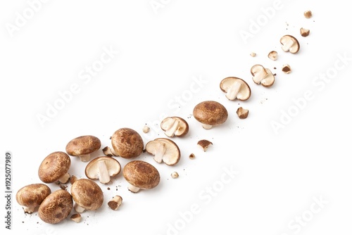 Shiitake mushrooms scattered in density gradient from bottom left whole caps to top right thin slices minimal food background