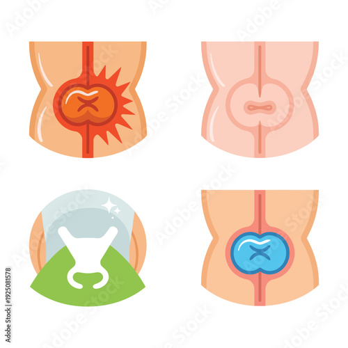 Bladder health awareness, urinary tract infection prevention, pelvic pain clinic station, hydration tips board, urology screening session, patient education materials