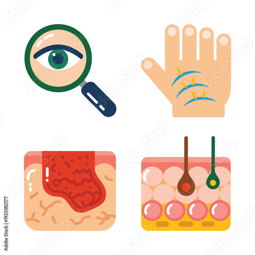Dermatology icons with skin layers, wart patch, hair follicle diagram, hand lines, eye exam magnifier, medical diagnosis education graphics