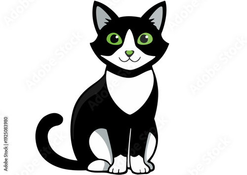 black and white cat