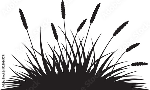 Black silhouette illustration of various grasses and cattails on a white background, demonstrating simple yet effective vector graphic design.