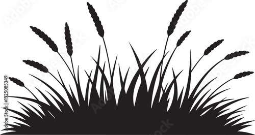 Black silhouette of grass or reeds against a white background vector graphic illustration