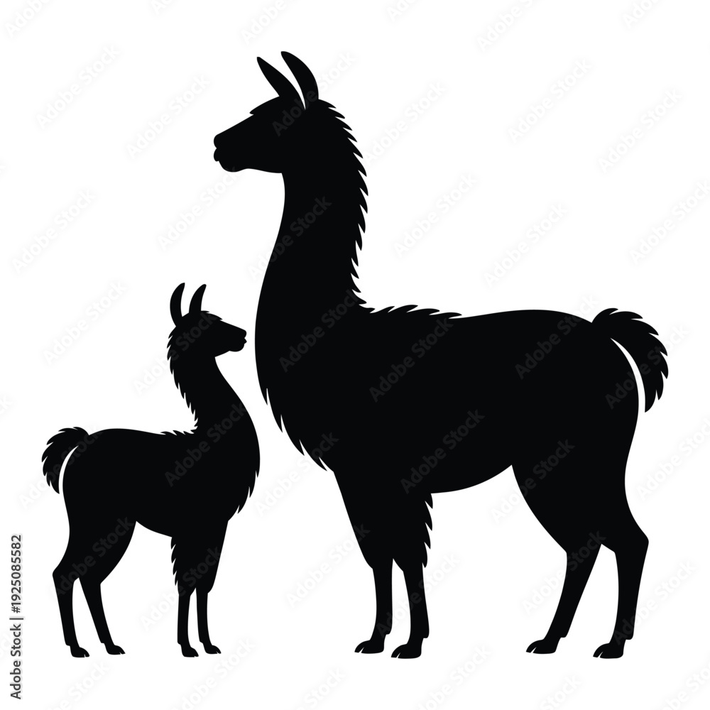 Fototapeta premium Llama with baby Vector, Silhouette, Illustration