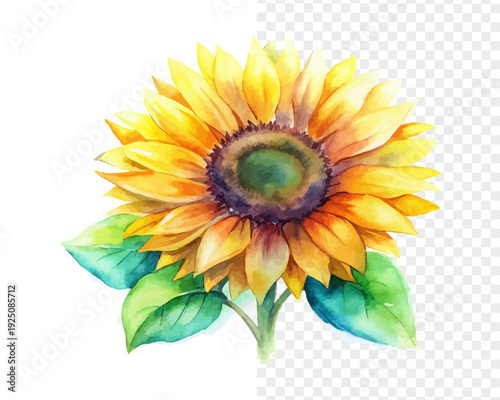 Watercolor Sunflower Illustration, Bright Floral Artwork, isolated on white background