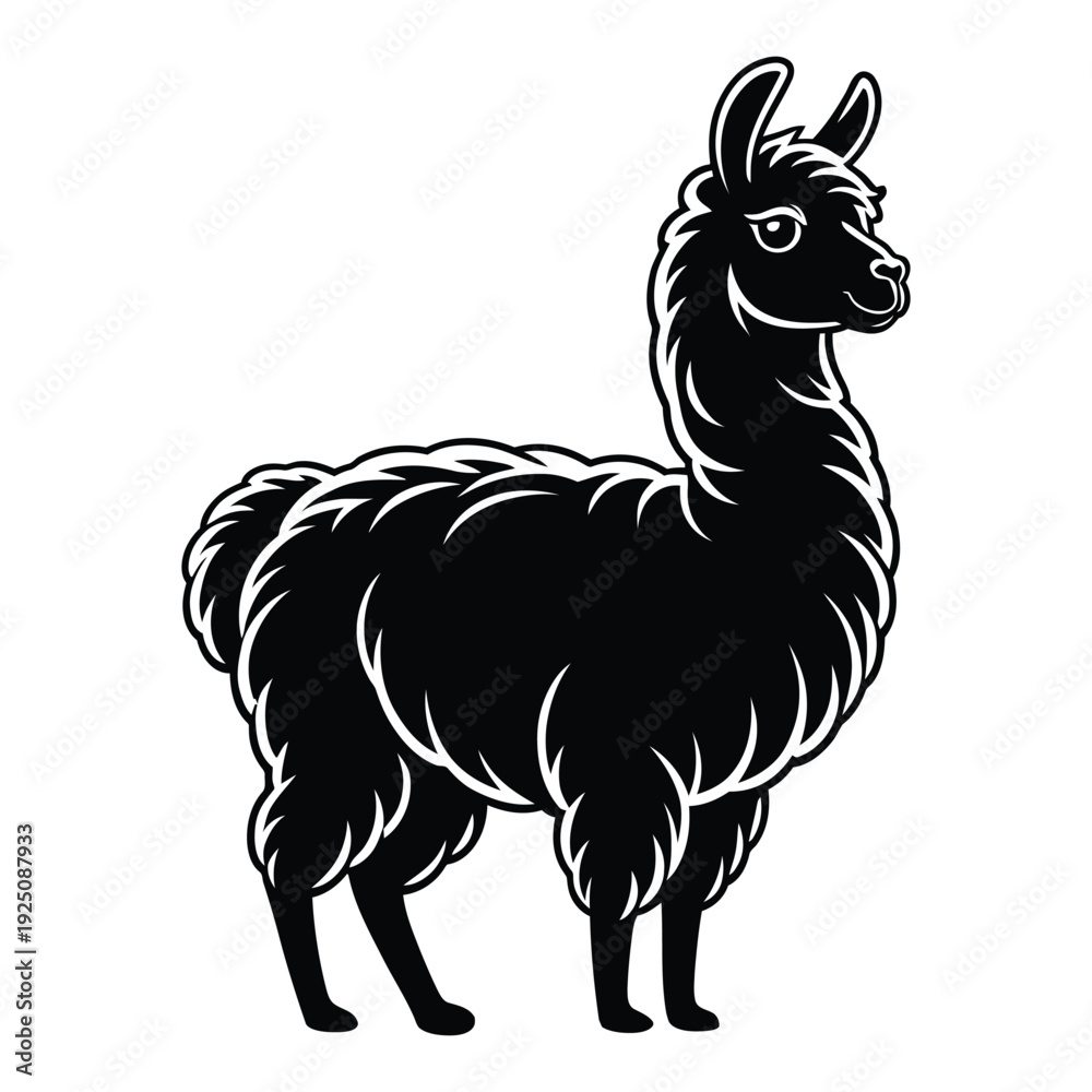 Fototapeta premium Llama with fluffy fur Vector, Silhouette, Illustration