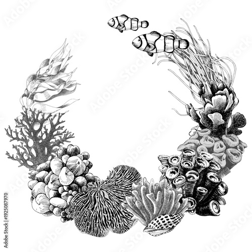 Hand drawn coral reef wreath vector