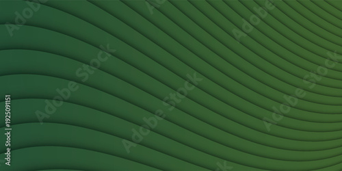 natural tropical green leaf palm leaf texture close up. vector