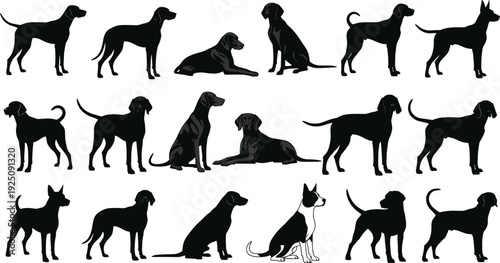 Black Dog Silhouettes Collection Featuring Various Breeds in Standing Sitting and Lying Poses Isolated on White Background for Vector Graphic Design and Animal Illustrations