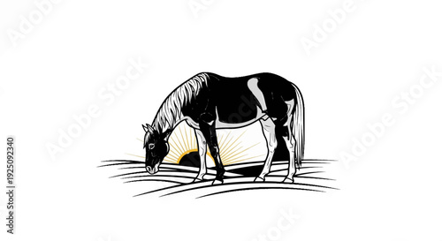 A piebald horse grazes in a field at sunrise