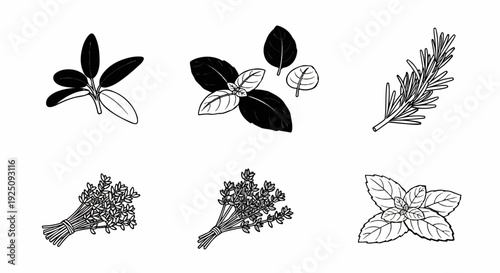 A black and white line art illustration of six different herb sprigs