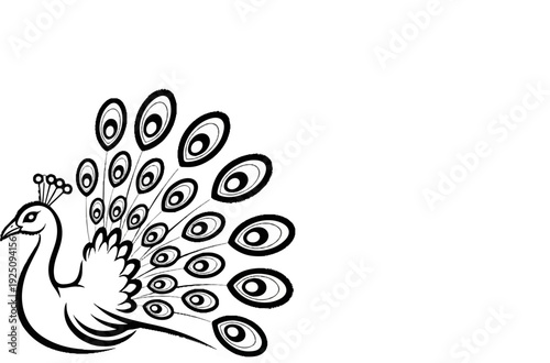 Stylized black and white peacock displaying its elaborate fan tail feathers