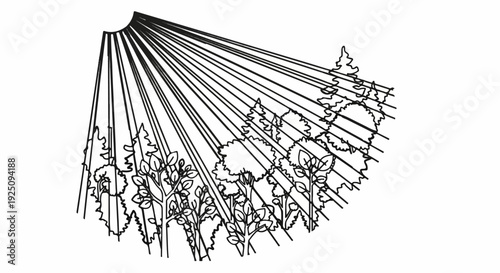 Sunlight rays piercing through a dense forest canopy of diverse trees