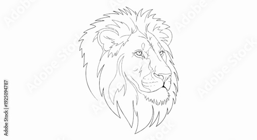 A bold, line-art illustration of a lion's head facing right with a full mane