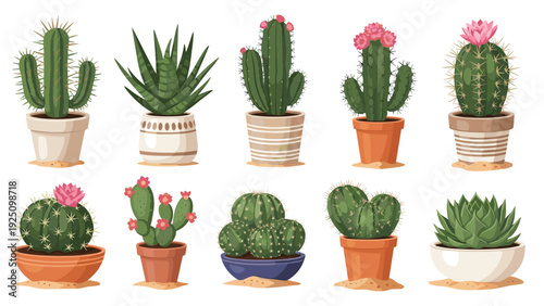 Collection of various cacti and succulent plants in decorative ceramic pots with pink flowers on some of the desert flora.
