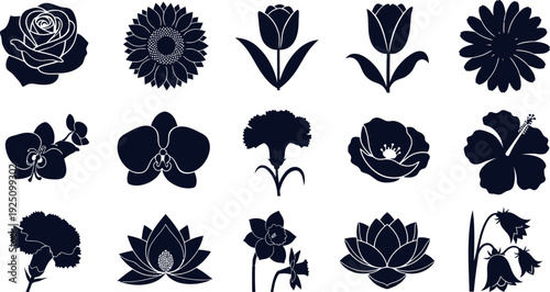 Dark blue flower on white background flowers