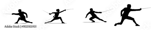 Elegant Fencer in Silhouette