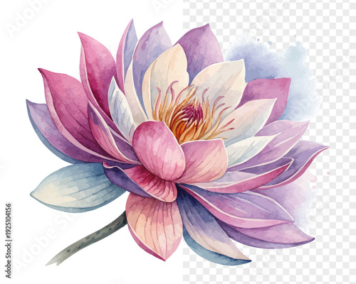 Colorful Statice Watercolor Bloom, Vibrant Bouquet Botanical Illustration Isolated on White