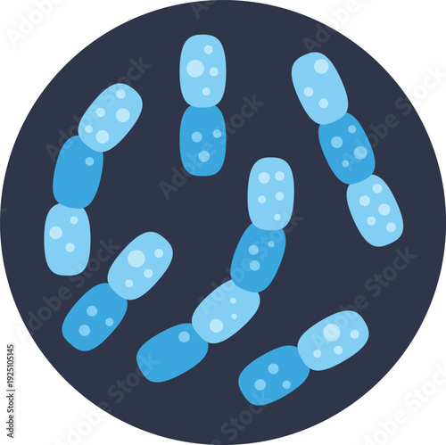Microscopic view showing multiple bacteria multiplying in a dark circular field