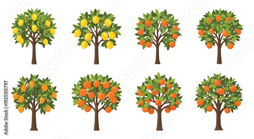 Stylized fruit trees with oranges and lemons in a repeating pattern