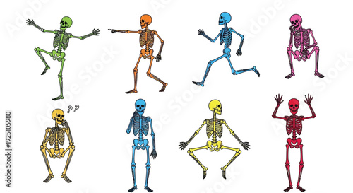 Colorful cartoon skeletons in various playful and dynamic poses