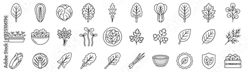 Leafy greens category navigation line icon set. Spinach, romaine lettuce, kale, arugula, bok choy, parsley, basil, microgreens tray, salad bowl outline vector illustrations.