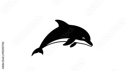 Majestic dolphin jumping out of water in sleek motion