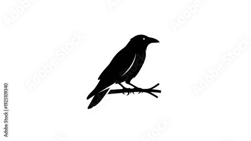 Majestic black bird perched on branch in profile view