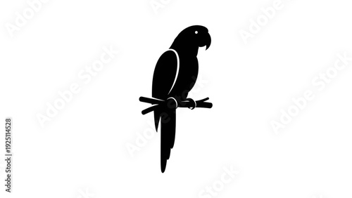 Majestic black parrot perched on branch in elegant pose
