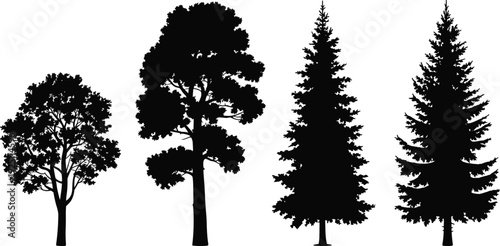 "Tree silhouette illustration, diverse tree shapes, deciduous and coniferous trees, botanical diversity, forest ecosystem, nature conservation, black artwork design"