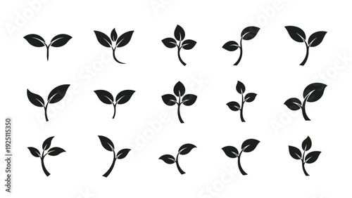 Various stages of plant seedling growth depicted in minimalistic black and white illustrations