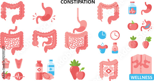 Constipation Symptoms and Digestive System Organs with Fiber Food and Wellness Icons Vector Set