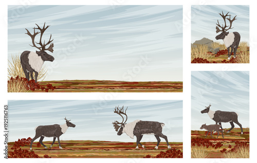 Banners set with reindeer in arctic tundra landscape with copy space for tex