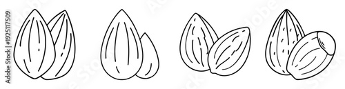 Hand drawn Almonds Outline Vector Illustration, Nutritious Nuts Clipart for Recipes