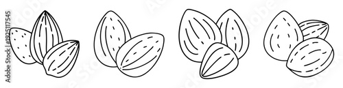Black and white line art illustration of several groups of almonds