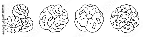 Four unique fungal spore shapes with detailed outlines on white background