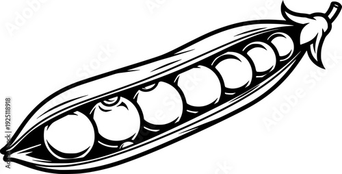 Fresh pea pod vegetable for healthy organic nourishment and vegan cooking ingredient – Black and White Vector Illustration