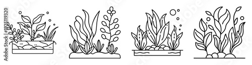 Line art illustration of planted aquarium plants in containers and substrate
